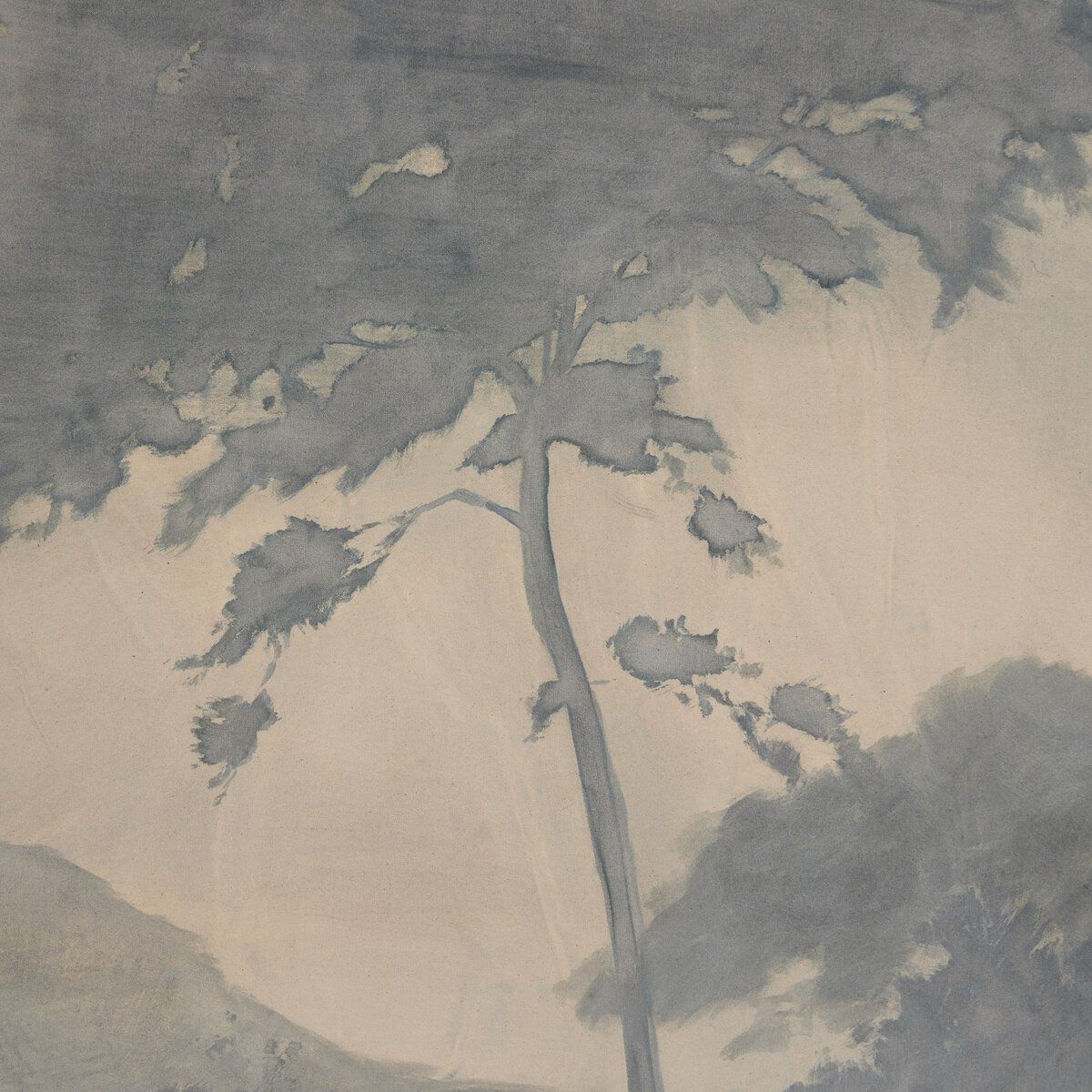 Canopy By Chelsea Fly
