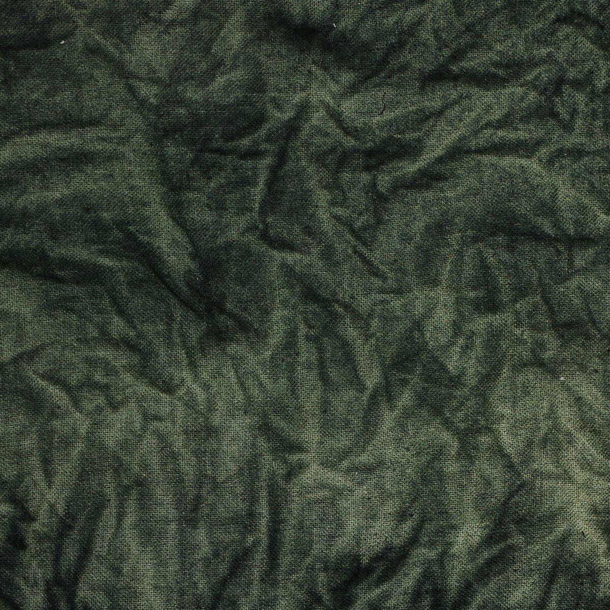 River Of Grass By Molly Franken
