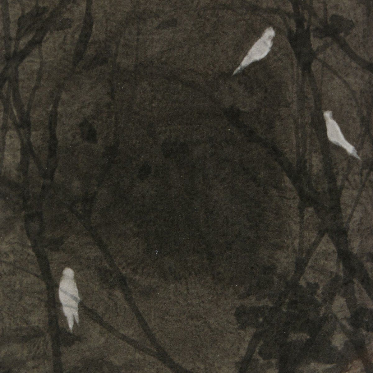 The Doves By Chelsea Fly