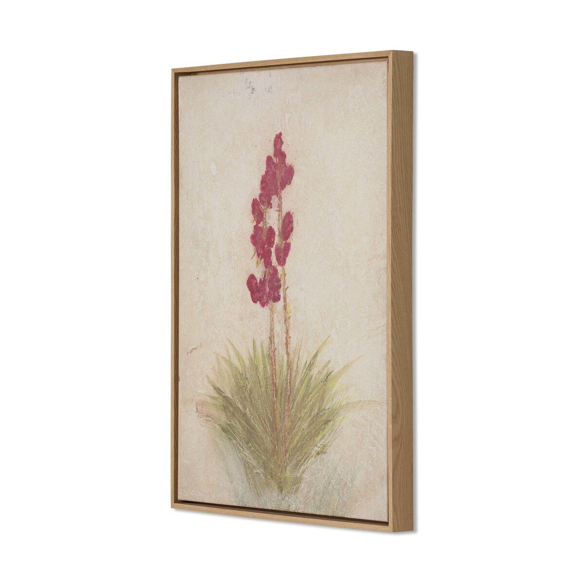 Yucca By Paul Meyer