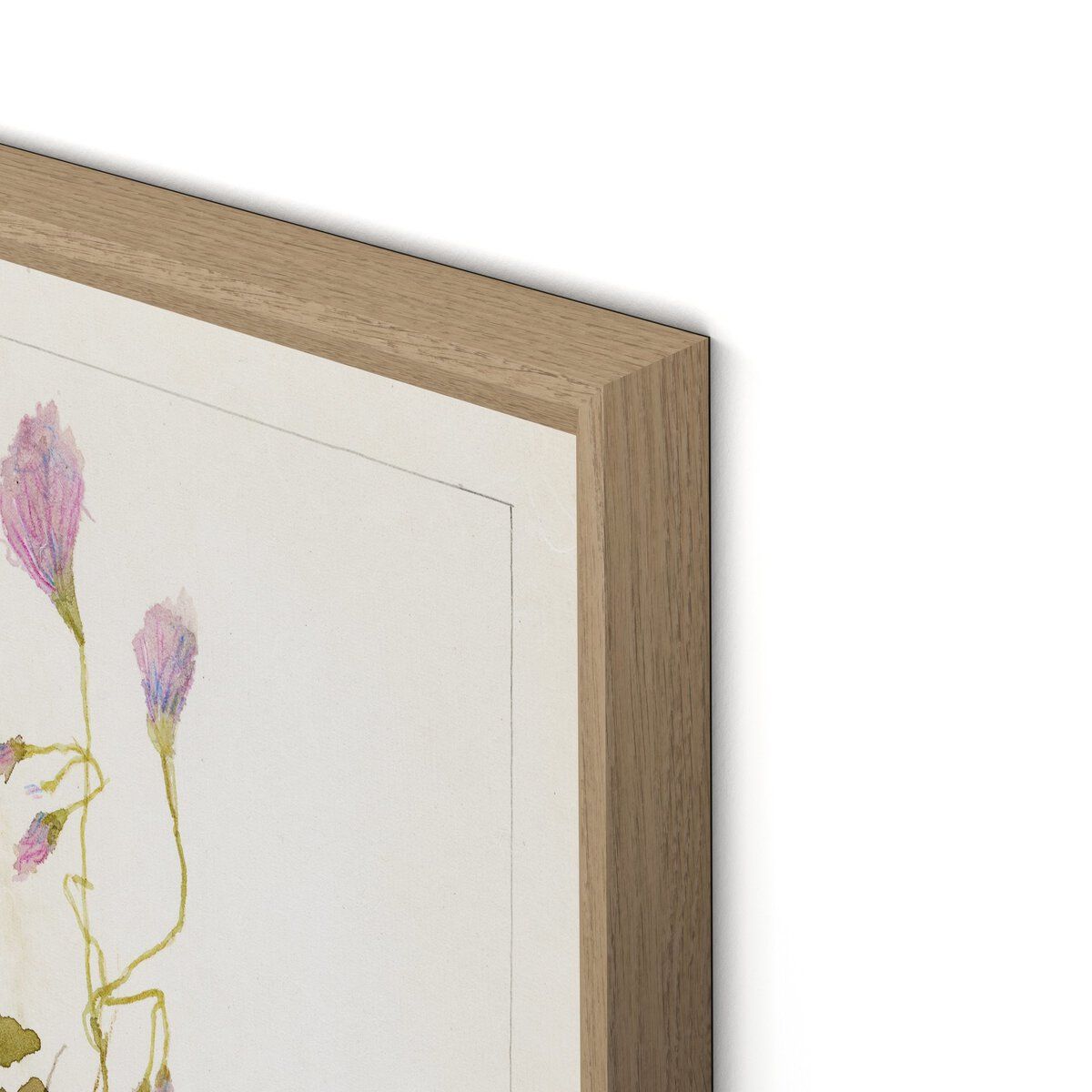 Oxalis Debilis No. 1 By Laurel-dawn Latshaw