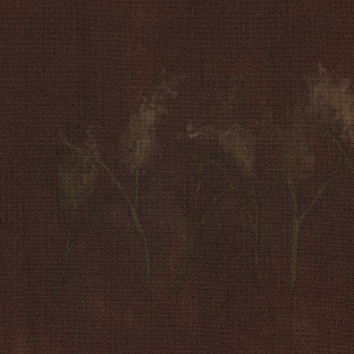 Bloom Iii By Brittney Schulz