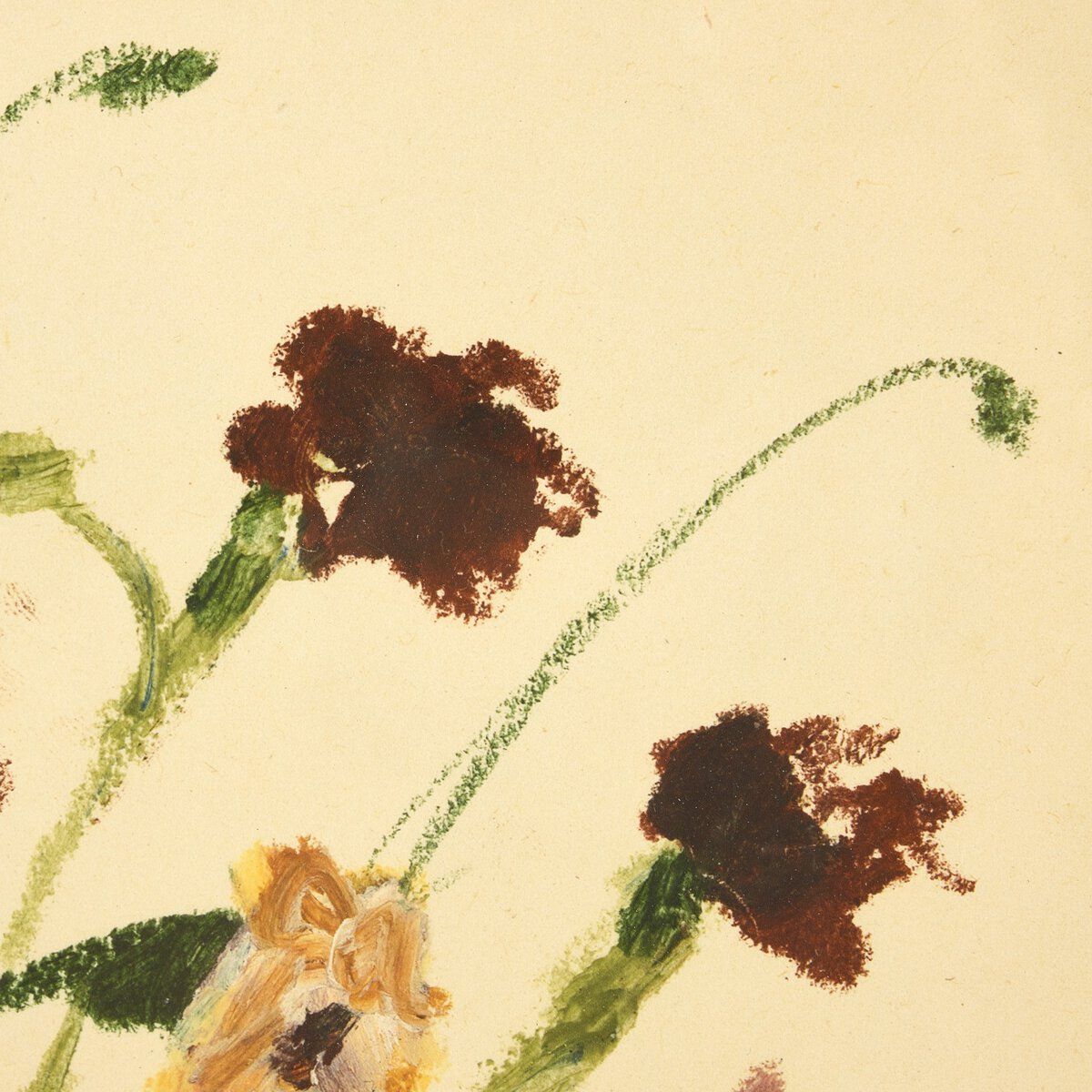 Wildflower Medley By Shaina Page