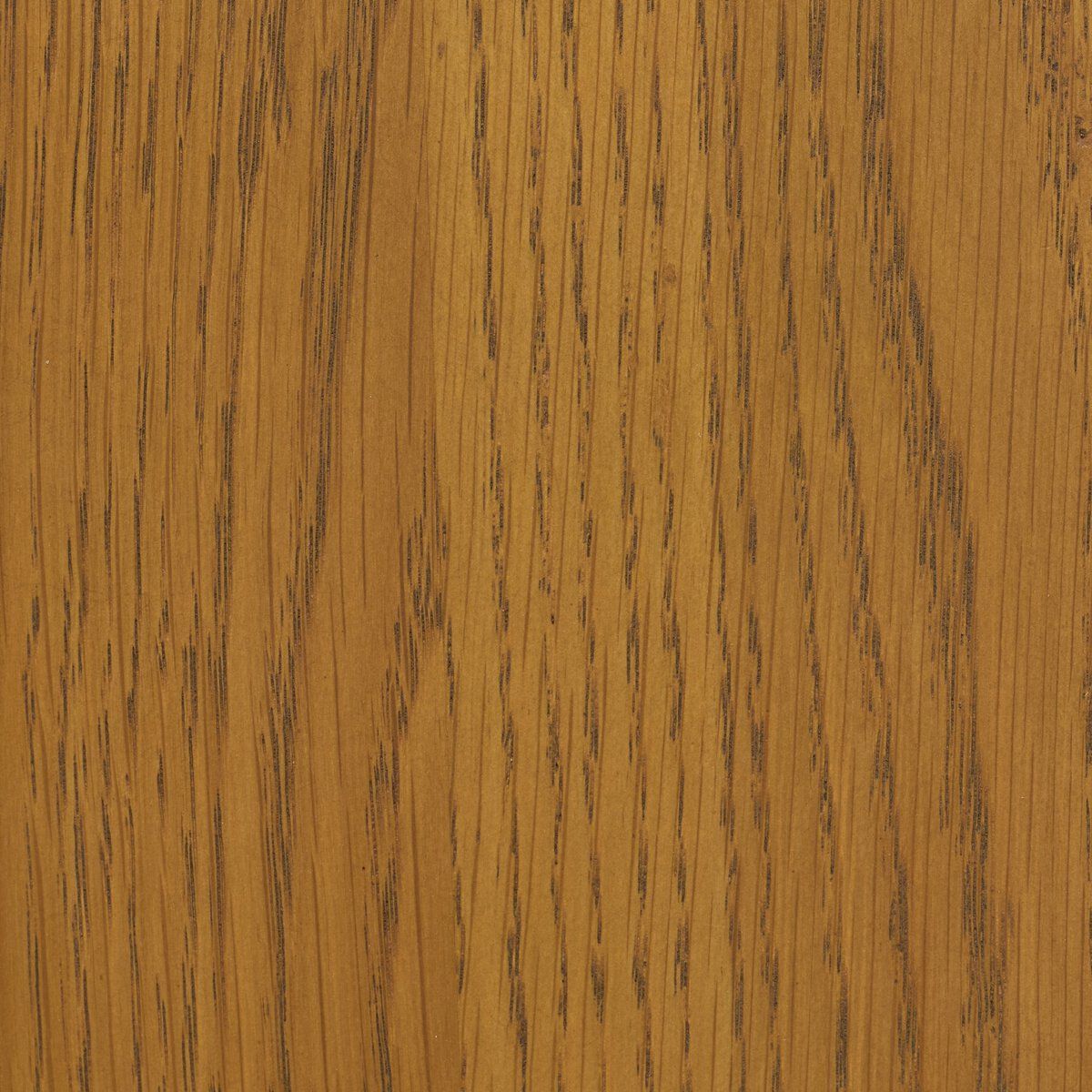 Ripley Bar + Counter Stool