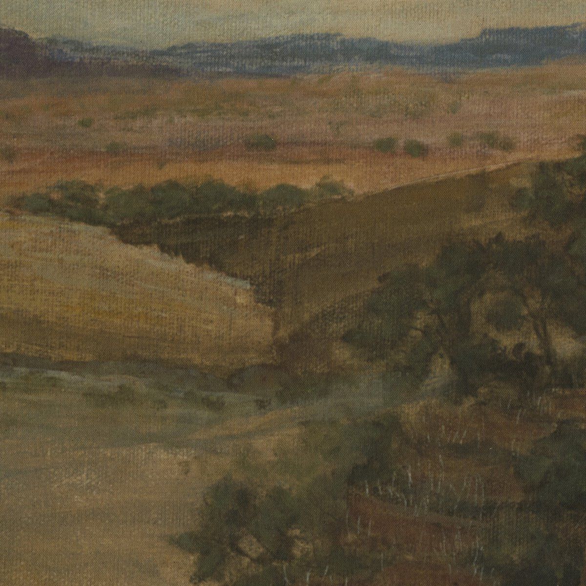Desert Hues Ii By Aileen Fitzgerald