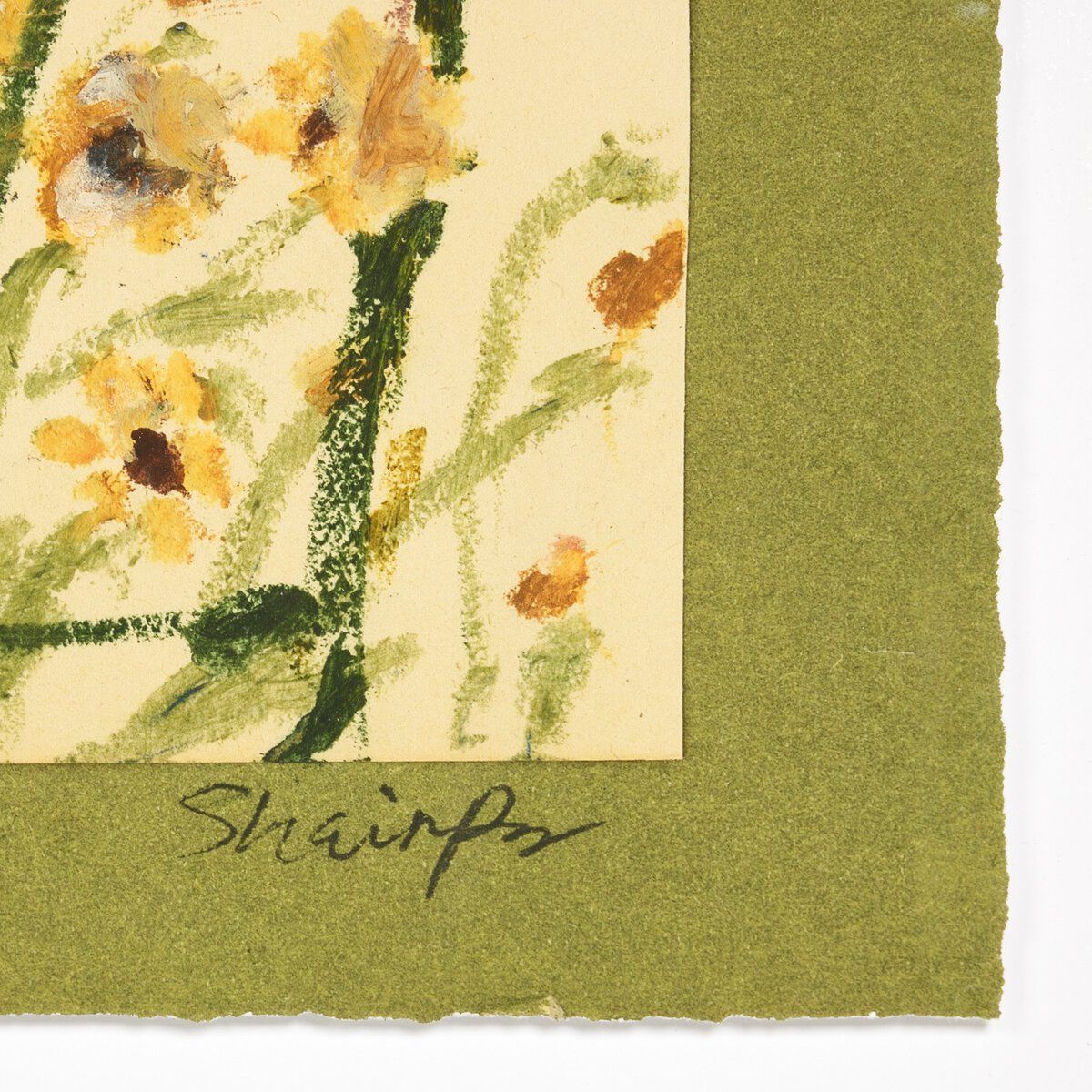 Wildflower Medley By Shaina Page