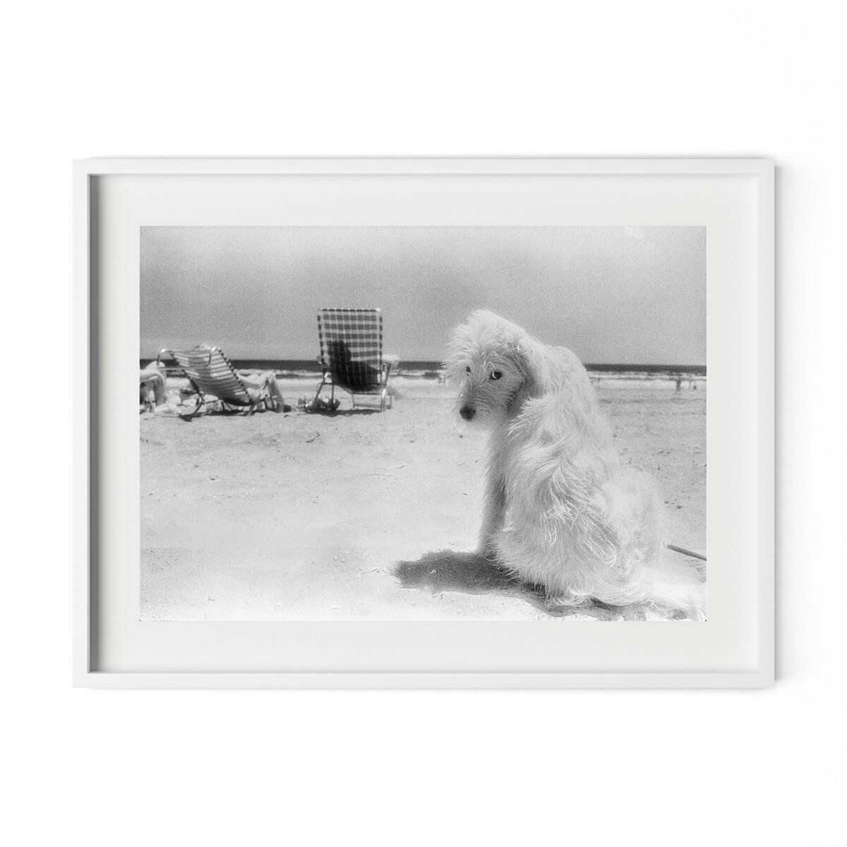 Lois At The Beach By Barbara Alper