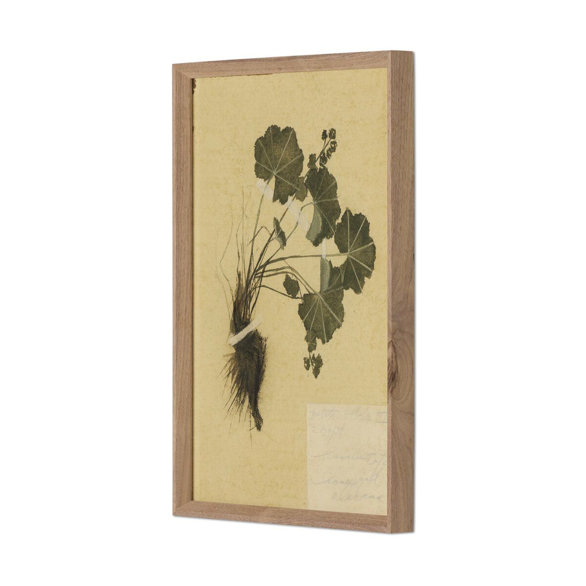 Petite Study No. Vii By Hannah Winters