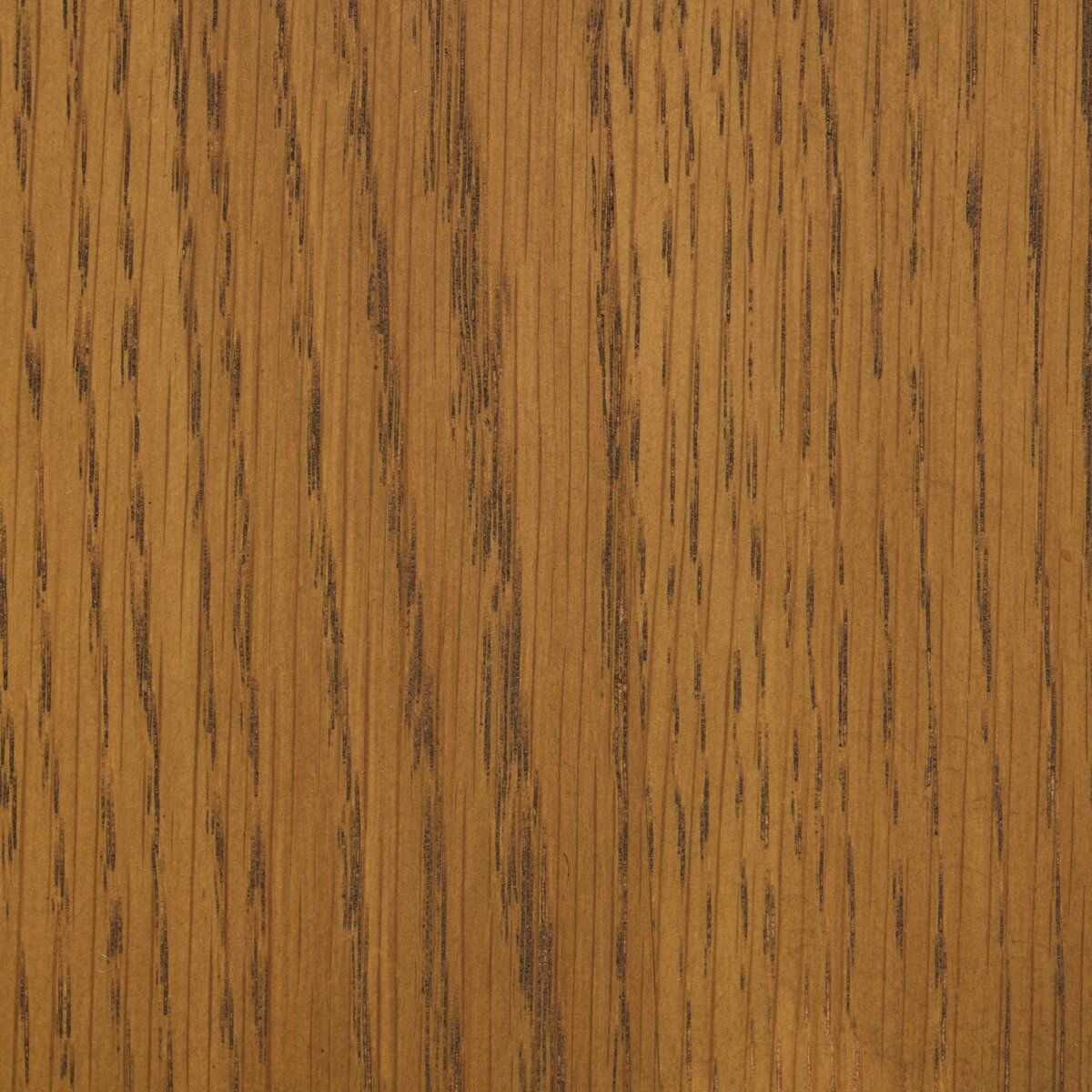 Ripley Bar + Counter Stool
