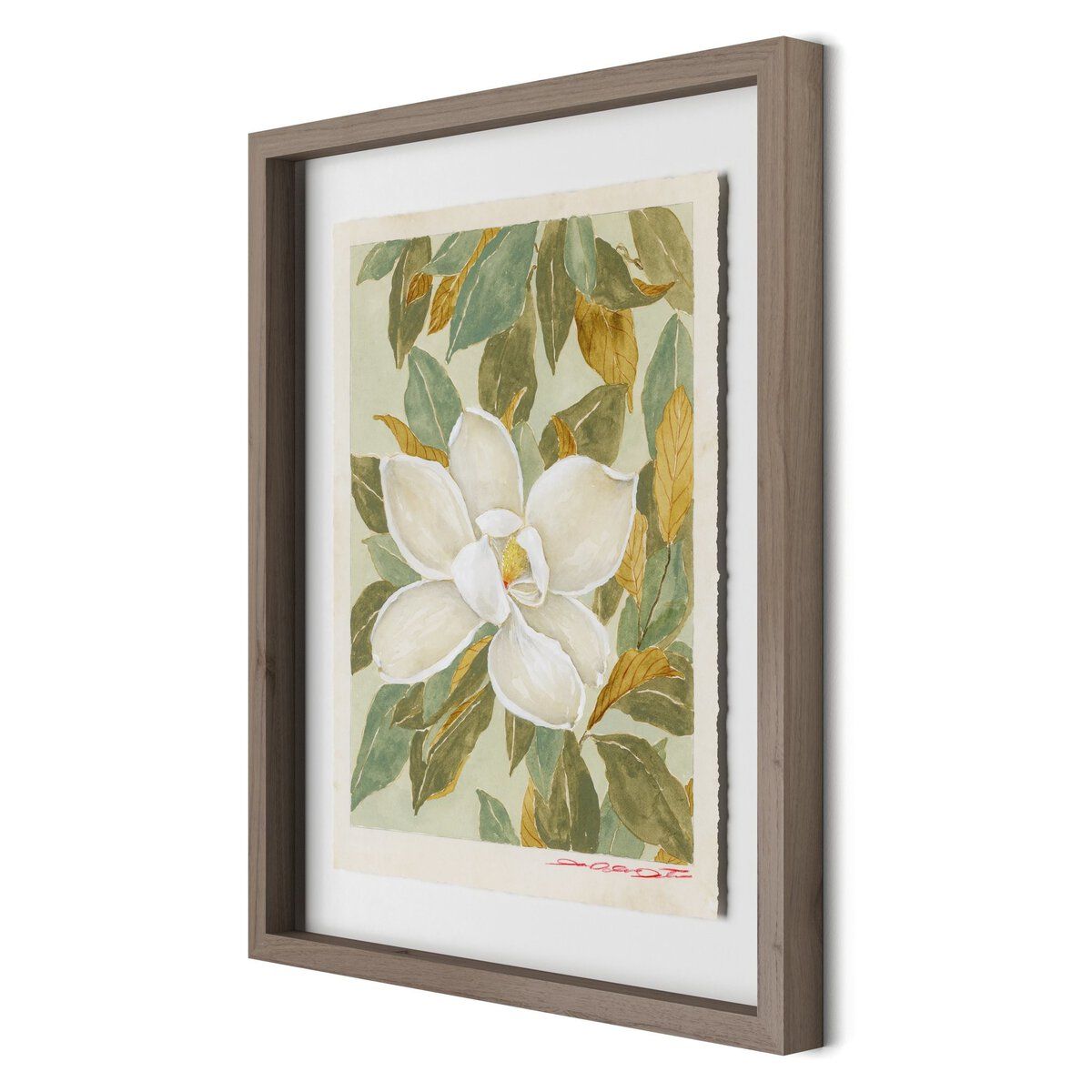 Magnolia I By Laurel-dawn Latshaw
