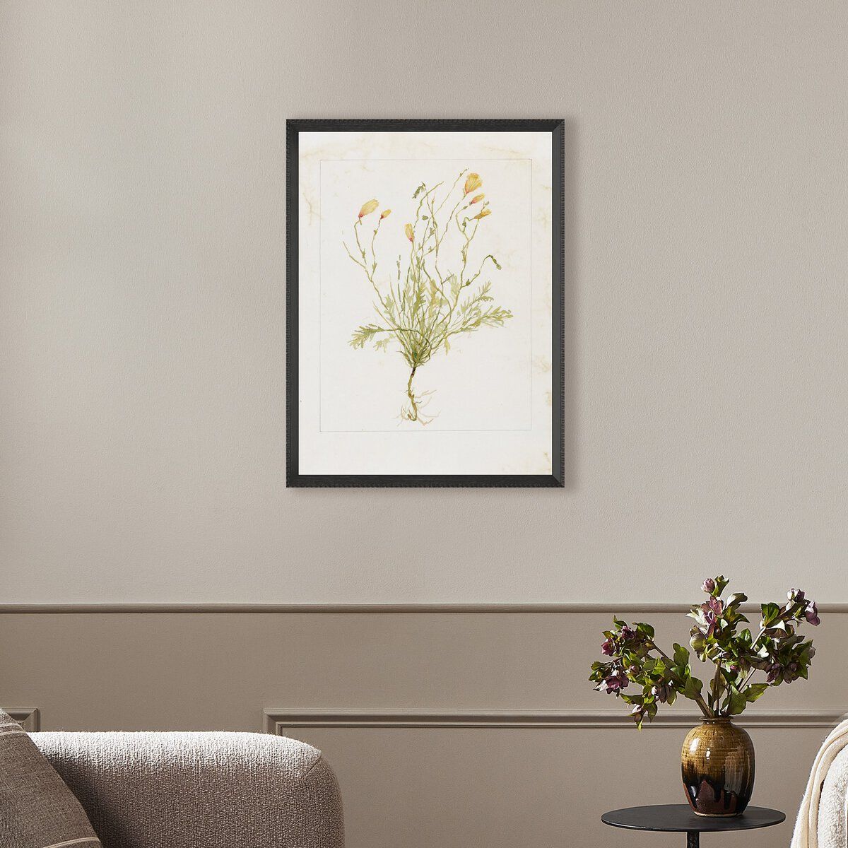 Papaveraceae No. 1 By Laurel-dawn Latshaw