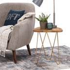 Patrice 18 Inch Wide Metal and Solid Mango Wood Accent Table