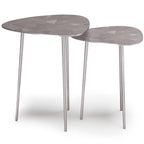Shelton 2 Piece Metal Nesting Table - Nickel