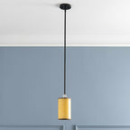 Shropshire Ceiling Light - Clearance