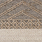 Beige Charcoal Areli Outdoor Area Rug