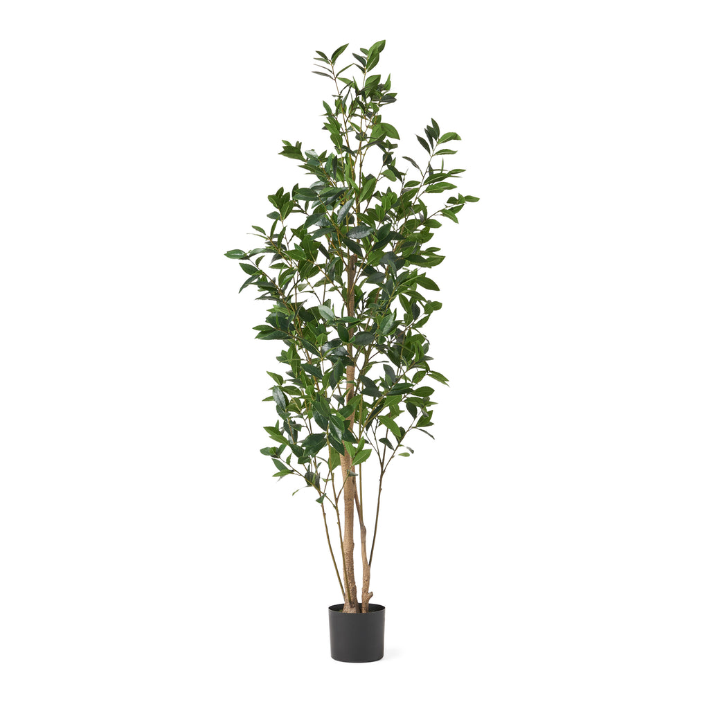 180cm Artificial Laurel Tree, Pre-Potted, Green
